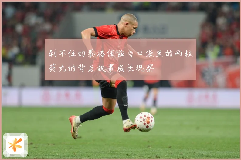 刹不住的泰格伍兹与口袋里的两粒药丸的背后故事成长观察
