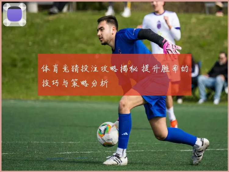 体育竞猜投注攻略揭秘 提升胜率的技巧与策略分析