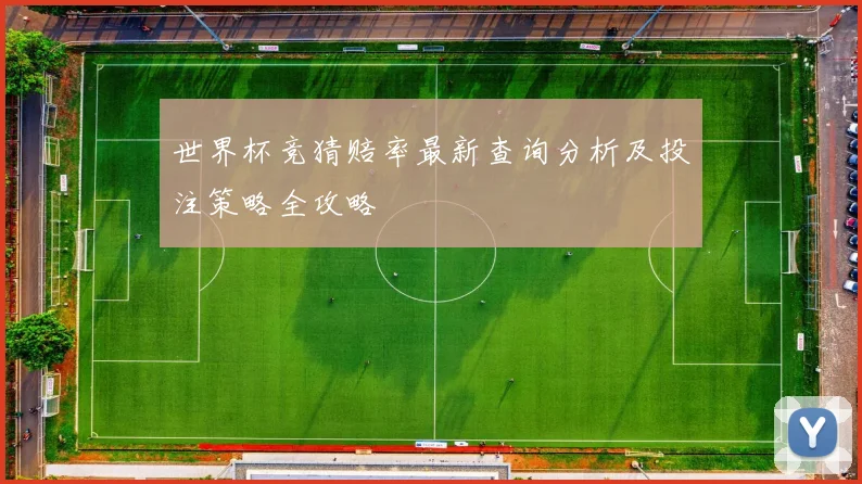 世界杯竞猜赔率最新查询分析及投注策略全攻略