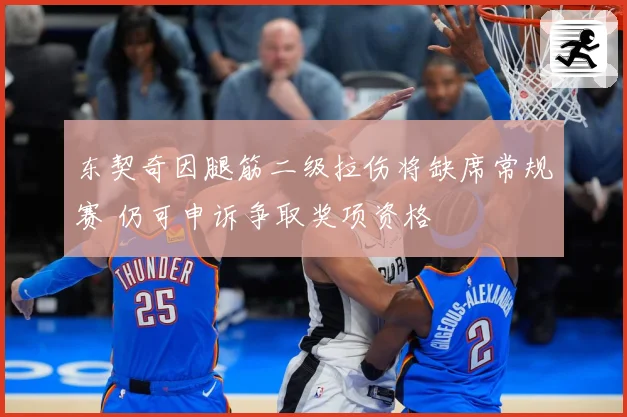东契奇因腿筋二级拉伤将缺席常规赛 仍可申诉争取奖项资格