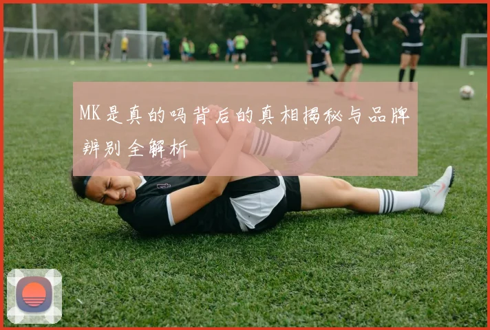 MK是真的吗背后的真相揭秘与品牌辨别全解析