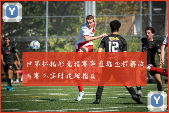 世界杯精彩竞猜赛事直播全程解读与赛况实时追踪指南
